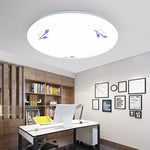 Modern Acrylic LED Ceiling Lamp – Flush‑Mount Light for Living Room & Balcony