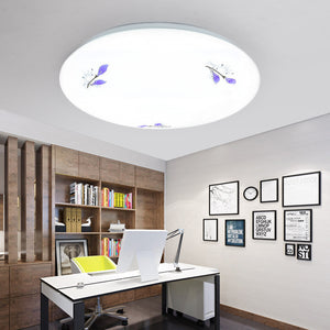Modern Acrylic LED Ceiling Lamp – Flush‑Mount Light for Living Room & Balcony