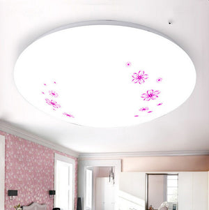 Modern Acrylic LED Ceiling Lamp – Flush‑Mount Light for Living Room & Balcony
